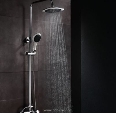 淋浴花洒哪个牌子好？权威品牌盘点与选购指南